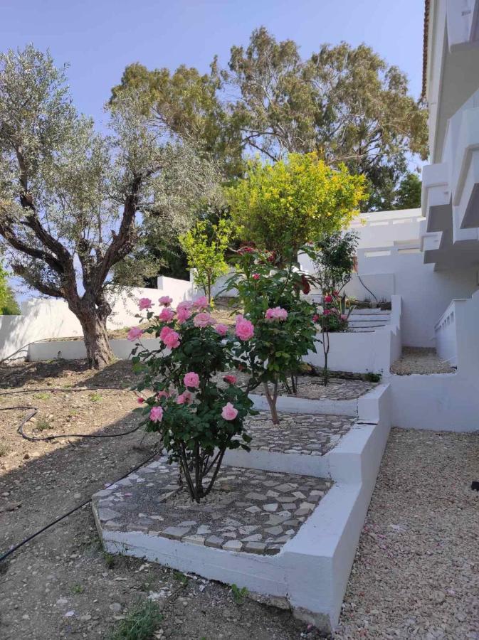 Arocaria - Faliraki Peaceful Apartments Εξωτερικό φωτογραφία