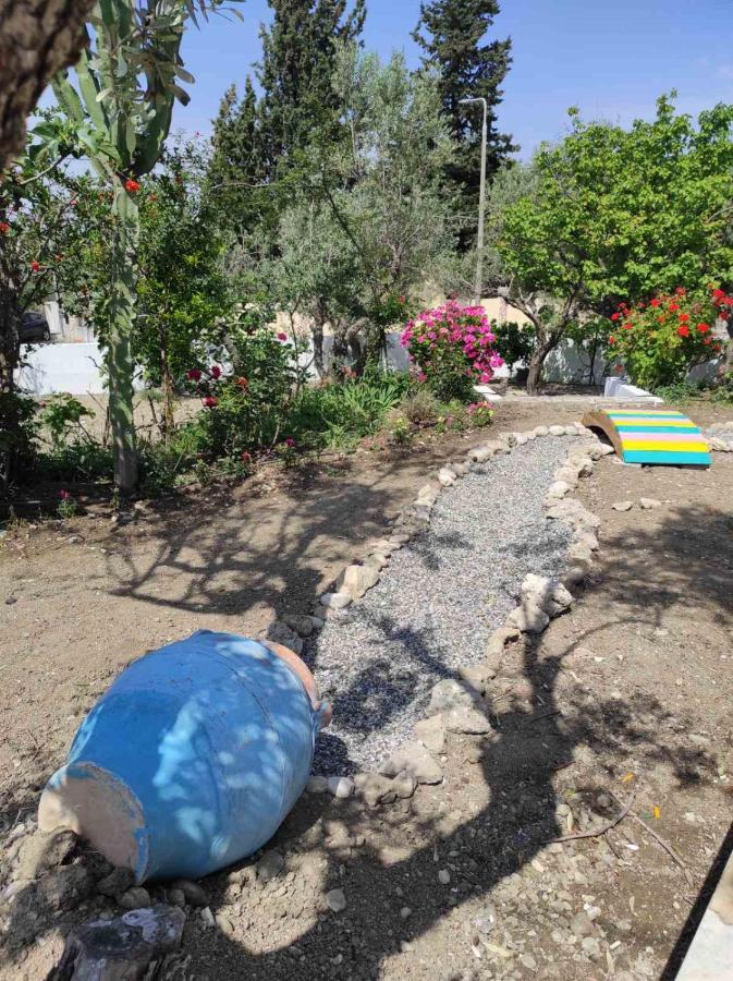 Arocaria - Faliraki Peaceful Apartments Εξωτερικό φωτογραφία